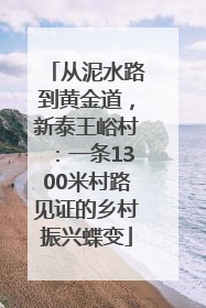 从泥水路到黄金道，新泰王峪村：一条1300米村路见证的乡村振兴蝶变