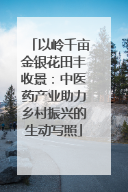 以岭千亩金银花田丰收景：中医药产业助力乡村振兴的生动写照