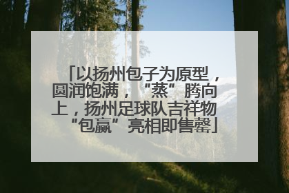 以扬州包子为原型，圆润饱满，“蒸”腾向上，扬州足球队吉祥物“包赢”亮相即售罄