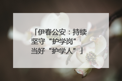 伊春公安：持续坚守“护学岗” 当好“护学人”