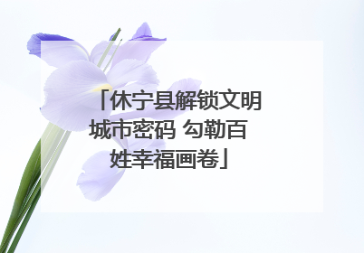 休宁县解锁文明城市密码 勾勒百姓幸福画卷