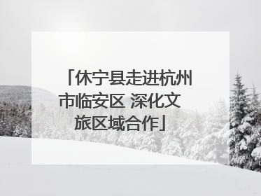 休宁县走进杭州市临安区 深化文旅区域合作