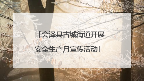 会泽县古城街道开展安全生产月宣传活动