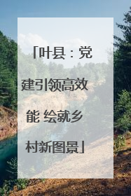 叶县：党建引领高效能 绘就乡村新图景