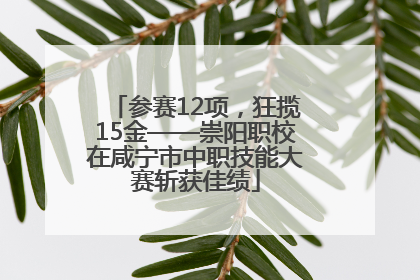 参赛12项，狂揽15金——崇阳职校在咸宁市中职技能大赛斩获佳绩