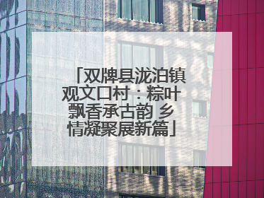 双牌县泷泊镇观文口村：粽叶飘香承古韵 乡情凝聚展新篇