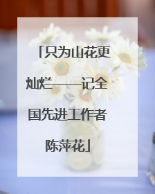 只为山花更灿烂——记全国先进工作者陈萍花