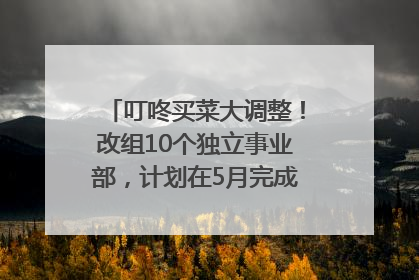 叮咚买菜大调整！改组10个独立事业部，计划在5月完成App端全面改版