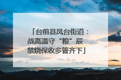 台前县凤台街道：战高温守“粮”辰 禁烧保收多管齐下