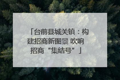 台前县城关镇：构建招商新图景 吹响招商“集结号”