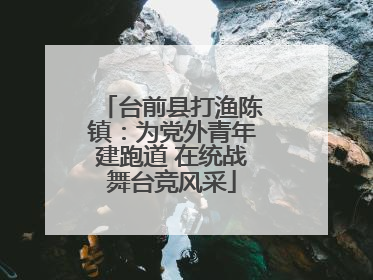 台前县打渔陈镇：为党外青年建跑道 在统战舞台竞风采