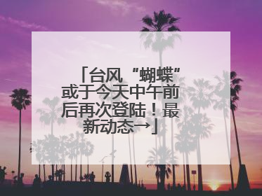台风“蝴蝶”或于今天中午前后再次登陆！最新动态→
