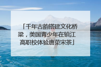 千年古韵搭建文化桥梁，美国青少年在镇江高职校体验唐菓宋茶