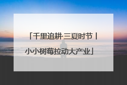 千里追耕·三夏时节丨小小树莓拉动大产业