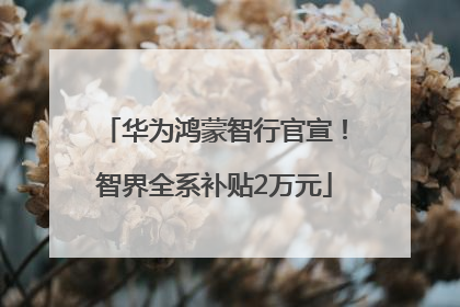 华为鸿蒙智行官宣！智界全系补贴2万元