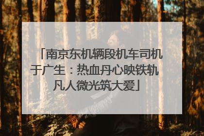 南京东机辆段机车司机于广生：热血丹心映铁轨 凡人微光筑大爱