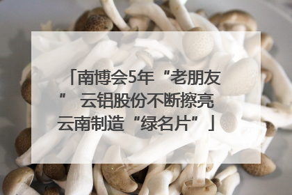 南博会5年“老朋友” 云铝股份不断擦亮云南制造“绿名片”