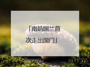 南靖国兰首次走出国门