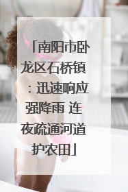 南阳市卧龙区石桥镇：迅速响应强降雨 连夜疏通河道护农田