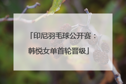 印尼羽毛球公开赛：韩悦女单首轮晋级