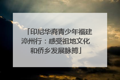 印尼华裔青少年福建漳州行：感受祖地文化和侨乡发展脉搏