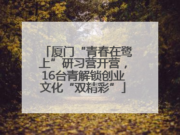 厦门“青春在鹭上”研习营开营，16台青解锁创业文化“双精彩”