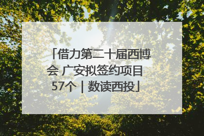 借力第二十届西博会 广安拟签约项目57个｜数读西投