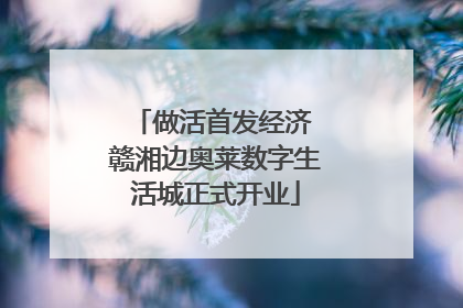 做活首发经济 赣湘边奥莱数字生活城正式开业