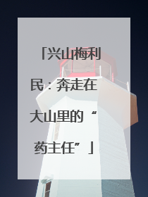 兴山梅利民：奔走在大山里的“药主任”