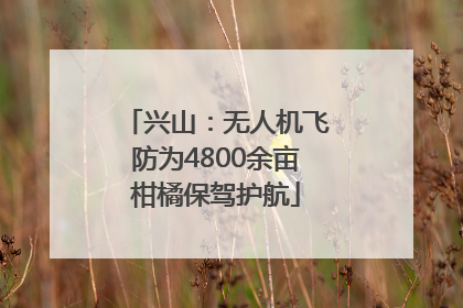 兴山：无人机飞防为4800余亩柑橘保驾护航