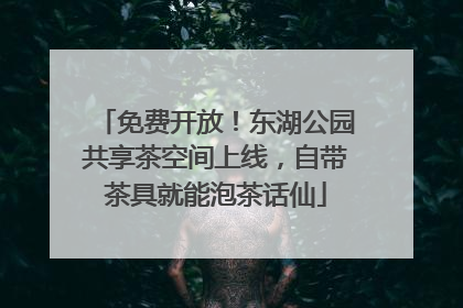免费开放！东湖公园共享茶空间上线，自带茶具就能泡茶话仙