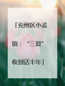 兖州区小孟镇：“三夏”收割话丰年