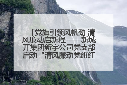 党旗引领风帆劲 清风廉动启新程——新城开集团新宇公司党支部启动“清风廉动党旗红”系列活动