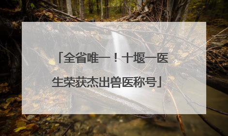 全省唯一！十堰一医生荣获杰出兽医称号