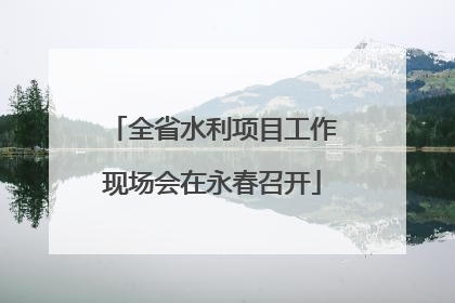 全省水利项目工作现场会在永春召开