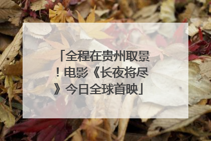 全程在贵州取景！电影《长夜将尽》今日全球首映