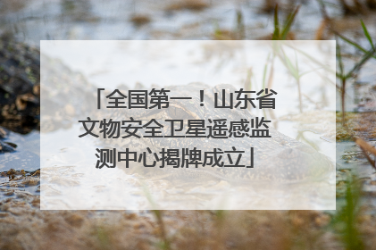 全国第一！山东省文物安全卫星遥感监测中心揭牌成立