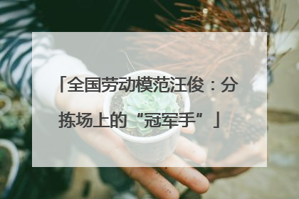 全国劳动模范汪俊：分拣场上的“冠军手”
