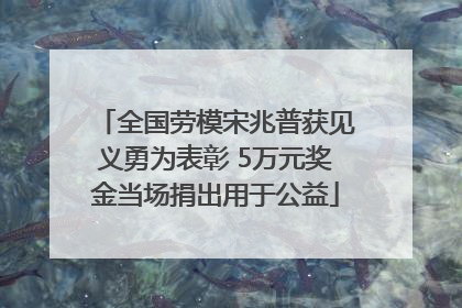 全国劳模宋兆普获见义勇为表彰 5万元奖金当场捐出用于公益