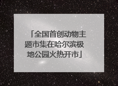 全国首创动物主题市集在哈尔滨极地公园火热开市