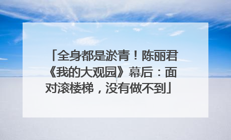 全身都是淤青！陈丽君《我的大观园》幕后：面对滚楼梯，没有做不到