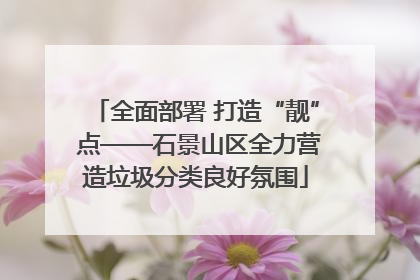 全面部署 打造“靓” 点——石景山区全力营造垃圾分类良好氛围