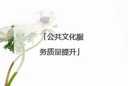 公共文化服务质量提升
