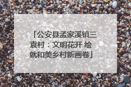 公安县孟家溪镇三袁村：文明花开 绘就和美乡村新画卷