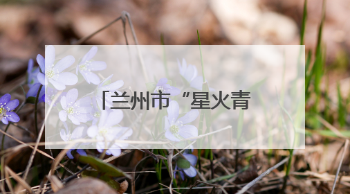 兰州市“星火青少年志愿服务队”举行成立仪式