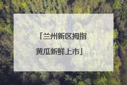 兰州新区拇指黄瓜新鲜上市