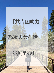 共青团助力旅发大会在哈尔滨举办