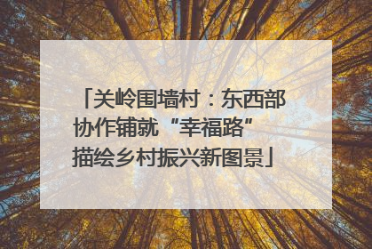关岭围墙村：东西部协作铺就“幸福路” 描绘乡村振兴新图景