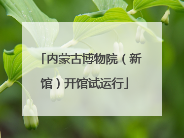 内蒙古博物院（新馆）开馆试运行