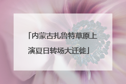 内蒙古扎鲁特草原上演夏日转场大迁徙